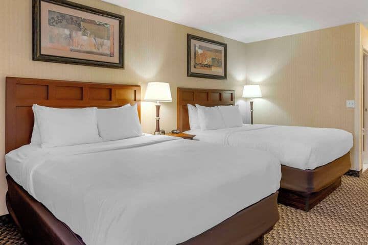 Room 20 of 42